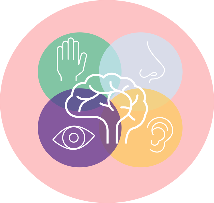 Sanser - føle/lugte/se/høre