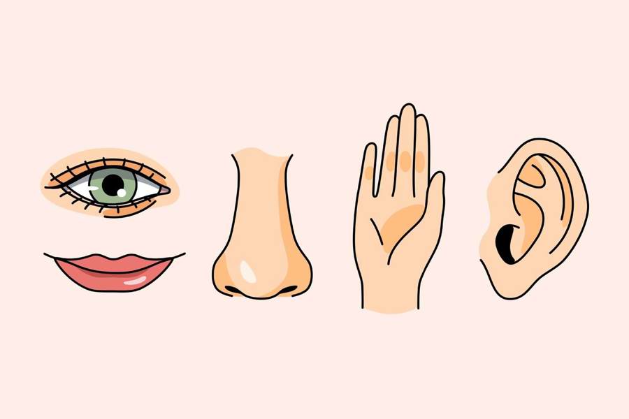 Illustration med øje, mund, næse, hånd og øre